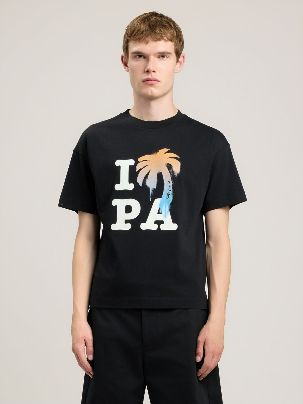 I Love PA T-Shirt