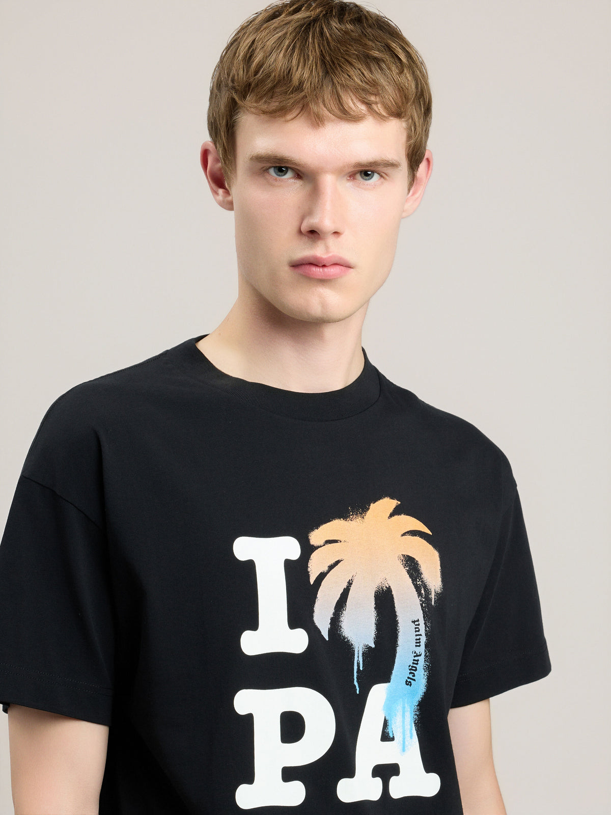 I Love PA T-Shirt